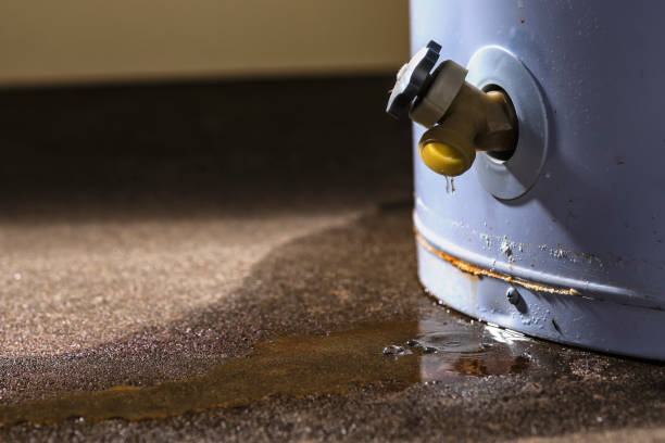 Best Mold removal after water damage  in Natchez, MS