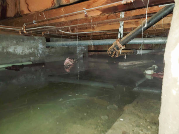 Local water damage restoration in Natchez, MS