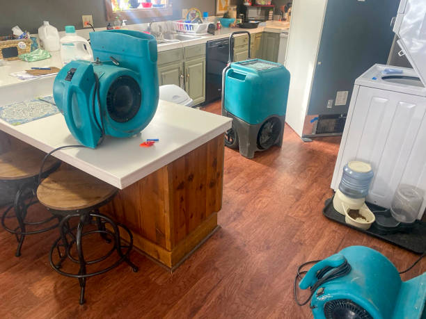Best Water damage cleanup near me  in Natchez, MS
