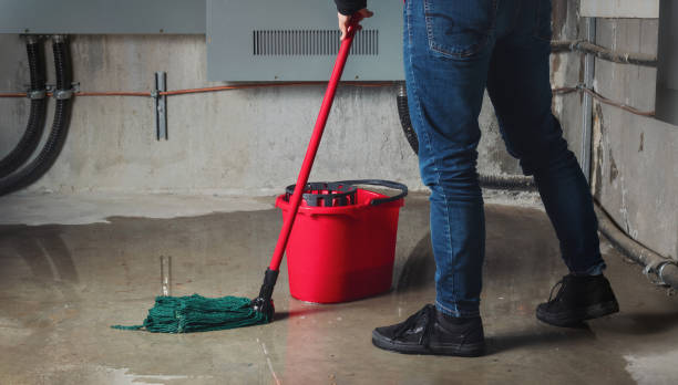 Best Water damage restoration mold remediation  in Natchez, MS